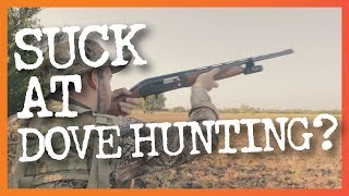 8 Common Dove Hunting Mistakes amp How to Fix Them [upl. by Arikihs]