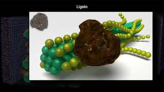 How Decomposition Works Part 1 [upl. by Nileve]