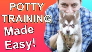 How to Potty Train your Puppy EASILY Everything you need to know [upl. by Aleicarg736]