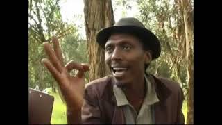 Eritrean comedy suzinino tafla and behabelom Trgum [upl. by Alicsirp]