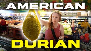 Durian Hunting in America  Musang King [upl. by Mellette]