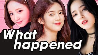 What Happened to MOMOLAND  Secrets and Success [upl. by Esau]