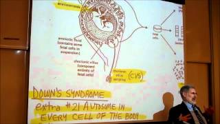 BIOLOGY CHROMOSOME ANOMALIES amp GENETIC DISEASES by Professor Finkwmv [upl. by Etienne]