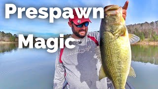 How to Fish for Largemouth Bass During Prespawn  Early Spring Fishing [upl. by Bullen887]