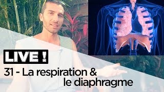 LA RESPIRATION ET LE DIAPHRAGME EXPLIQUÉS EN 10 MINUTES [upl. by Nelloc]