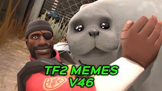 TF2 MEMES V46 [upl. by Coltun]