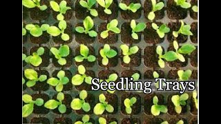 How to use seedling trays [upl. by Ocirled]