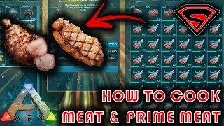 ARK HOW TO COOK MEAT  COOKING MEAT amp PRIME MEAT BY USING A CAMPFIRE amp INDUSTRIAL GRILL [upl. by Anuqahs825]