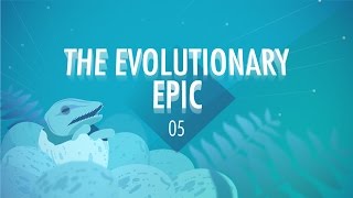 The Evolutionary Epic Crash Course Big History 5 [upl. by Jeannette896]