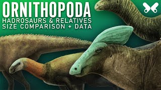 ORNITHOPODA Hadrosaurs and relatives Dinosaur size comparison Paleoart [upl. by Eidderf]