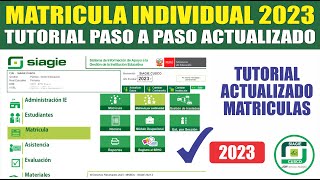 Siagie  Matricula INDIVIDUAL 2023  Tutorial COMO MATRICULAR ALUMNOS NUEVOS Y ANTIGUOS [upl. by Allecram742]