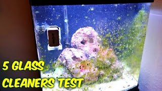 5 Aquarium Glass Cleaners Test [upl. by Anuat]