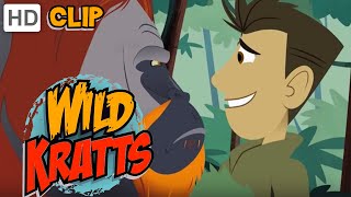 Wild Kratts  Orangutan Approved [upl. by Alden]