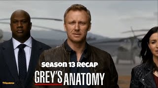 Greys Anatomy Season 13 Recap [upl. by Behre]