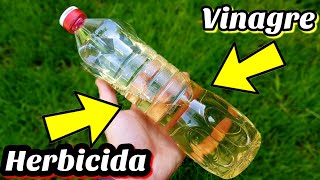 🍂 Usa VINAGRE para ELIMINAR las malas HIERBAS para SIEMPRE  Herbicida casero ecológico [upl. by Airdnekal79]