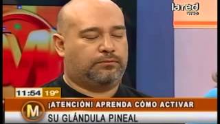 Aprenda a activar su glándula pineal [upl. by Isia172]