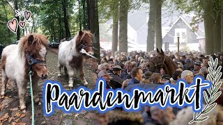 Vlog23 Ponys redden van de slacht  Paardenmarkt Zuidlaren [upl. by Sirromed360]