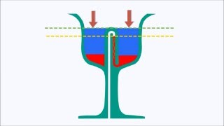 Pythagoras Cup Working and Principle [upl. by Naicad]