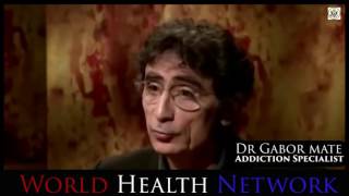 Dr Gabor Mate How Addiction Works [upl. by Eiboh734]