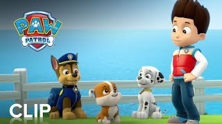 PAW Patrol Jet to the Rescue  Lets Jet to the Rescue Clip [upl. by Oned]