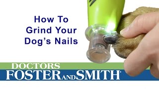 How to Grind Your Dogs Nails DrsFosterSmith [upl. by Giles]