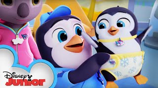 Penn the Penguin Profile 🐧  TOTS  Disney Junior [upl. by Egroeg]