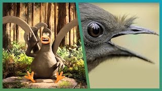 Lyrebird Meets Attenborough ft Aardman Animations Attenborough90  BBC Earth Explore [upl. by Beckie70]