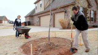 Pavestone Retaining Wall Installation [upl. by Pettiford]