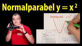 Normalparabel y  x2  quadratische Funktionen  Grundlagen  Lehrerschmidt [upl. by Remmus]