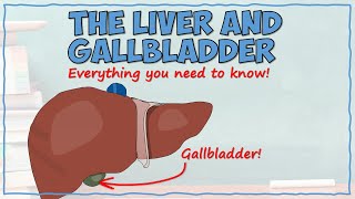 The Liver and Gallbladder [upl. by Abraham]