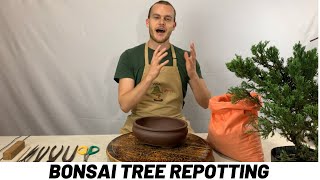 Repotting a Bonsai Tree Tutorial The Bonsai Supply [upl. by Llevron638]