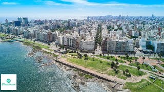 Montevideo Uruguay Travel Guide [upl. by Levram968]