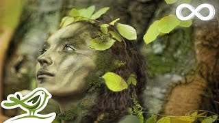 Dance of Life Relaxing Celtic Music for Meditation amp Sleep by Peder B Helland [upl. by Otti836]