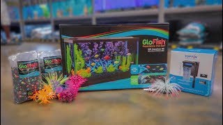 NEW GLOFISH 10G AQUARIUM SETUP [upl. by Nyberg]