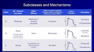 Antiarrhythmics Lesson 2  Sodium Channel Blockers [upl. by Anitreb247]