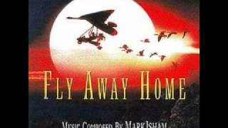 Fly Away Home Soundtrack  10000 Miles With Lyrics [upl. by Arnelle]