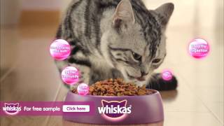 Whiskas Cat Food [upl. by Clymer]