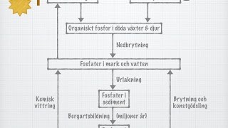 Fosforns kretslopp gammal [upl. by Eimiaj]