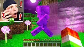 PURPLE STEVE SPOTTED IN MINECRAFT NOT CLICKBAIT [upl. by Ellenuahs]