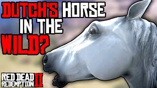 Ultra Rare Where To Find Dutchs Horse White Arabian  Red Dead Redemption 2 [upl. by Niabi]