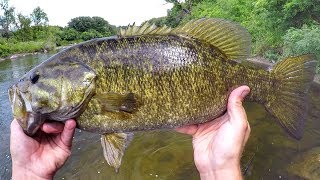 Wade Fishing River Smallies [upl. by Ardnovahs]