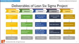 113 Deliverables Of LSS amp Define Phase in Detail [upl. by Negah]