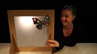 Kids Activity Introduction to Shadow Puppetry [upl. by Sibelle]