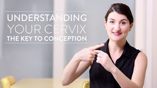 Conception 101 Ovulation And Your Cervix [upl. by Ahsiekan21]