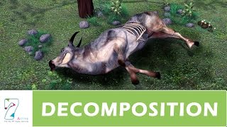 DECOMPOSITION  PART 01 [upl. by Enutrof]