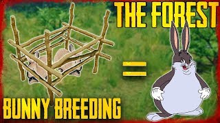 HOW TO BREED RABBITS  The Forest [upl. by Ricky127]