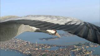 Flying Alongside Common Cranes Over Venice [upl. by Nollahp]