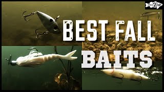 5 BEST BAITFISH BASS LURES for Fall Bass Fishing [upl. by Calley]