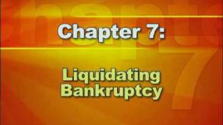 Bankruptcy Basics  Part 2 Types of Bankruptcy [upl. by Abe709]