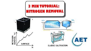 Increase Nitrogen removal [upl. by Daisie]